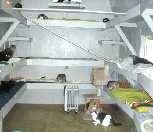 Long-Term Boarding - Click to enlarge