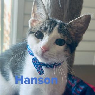 Hanson