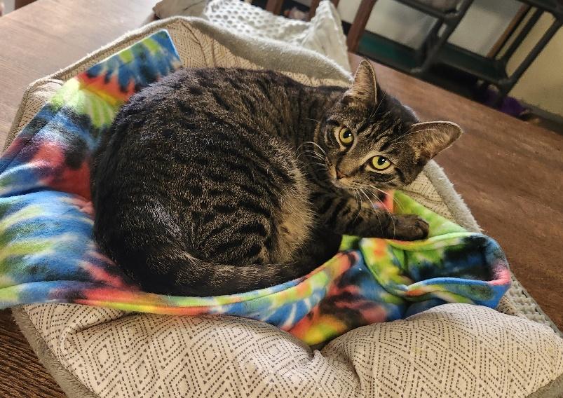 Click for full size picture - Alby