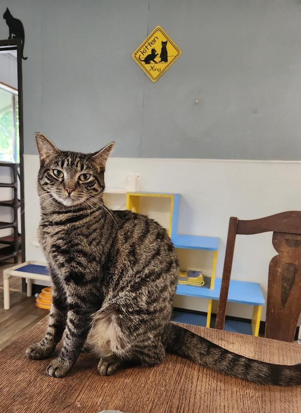 Click for full size picture - Alby