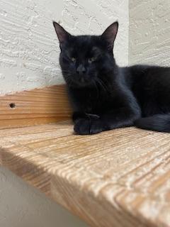 Click for full size picture - Estella