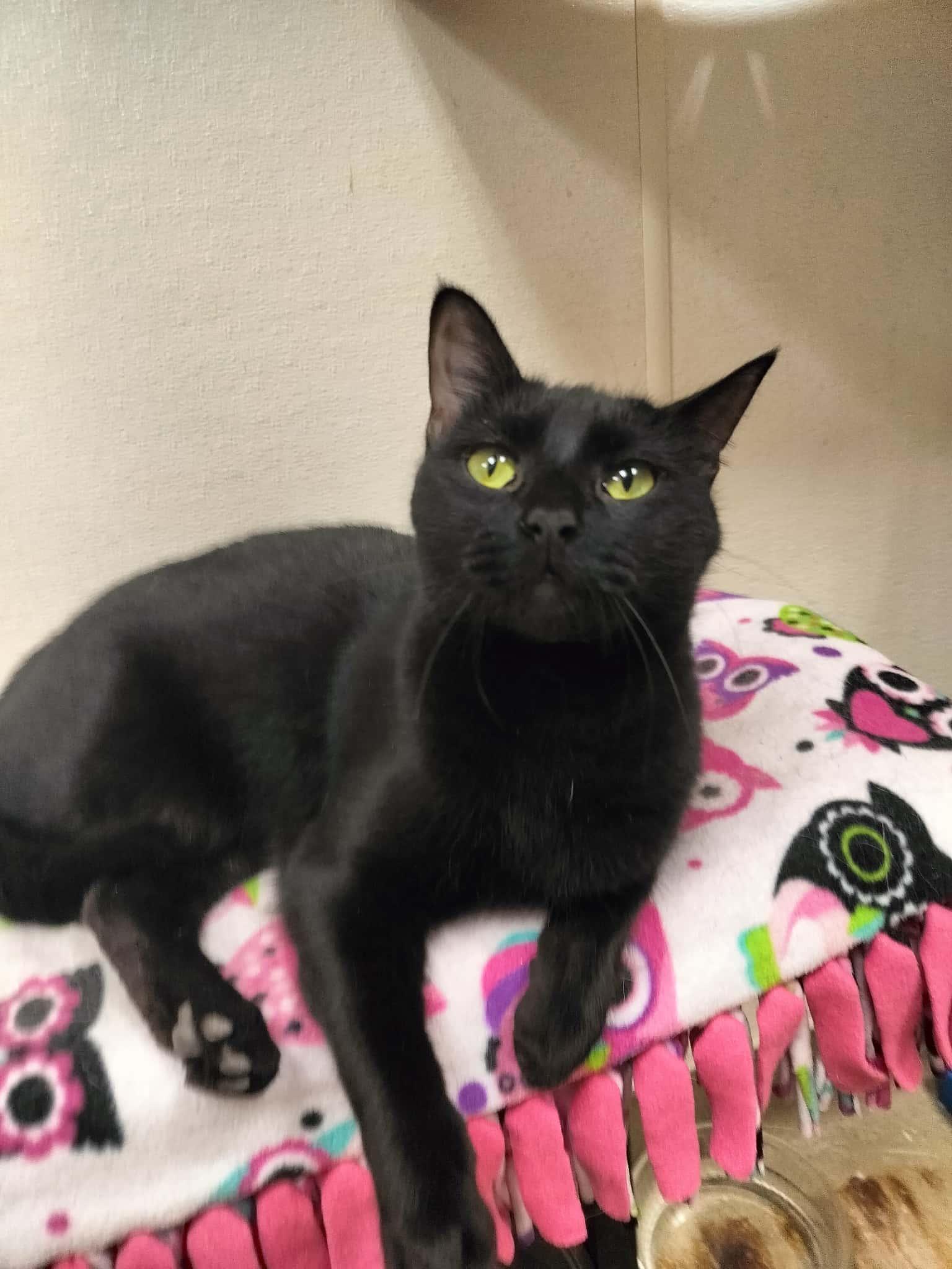 Click for full size picture - Estella