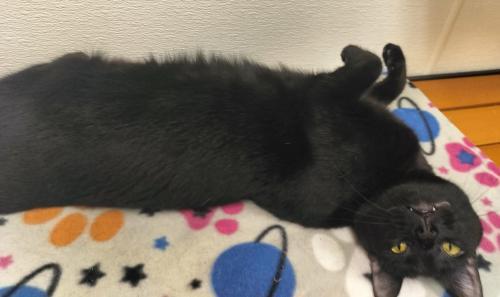 Click for full size picture - Estella