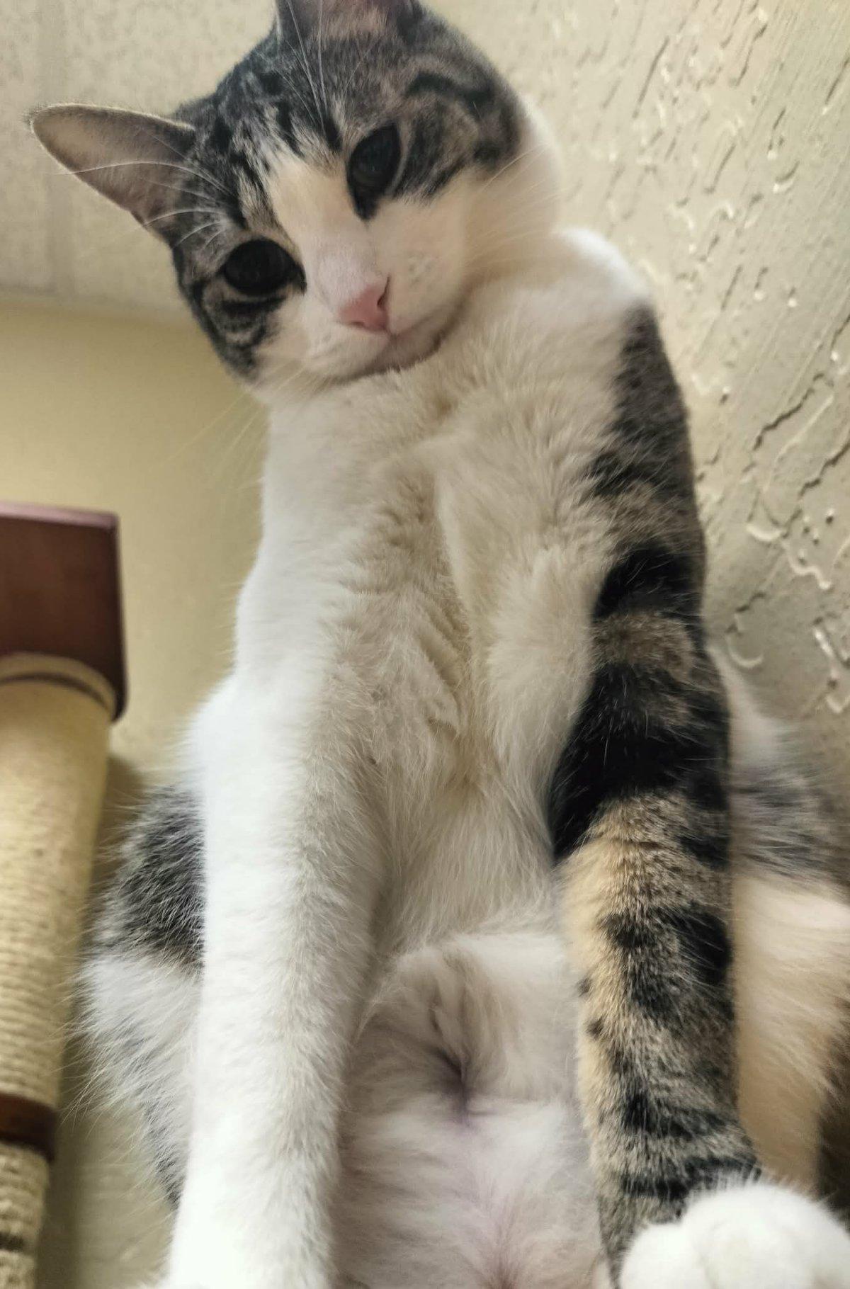 Click for full size picture - Daphne