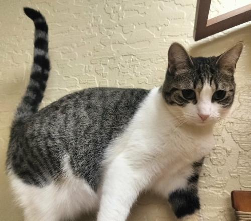 Click for full size picture - Daphne