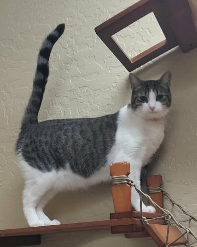 Click for full size picture - Daphne