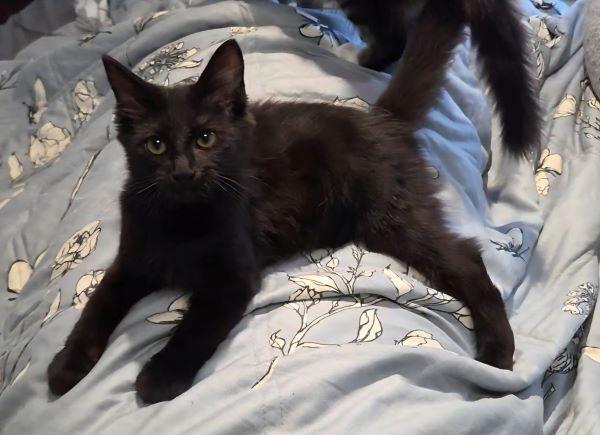 Bella Bella