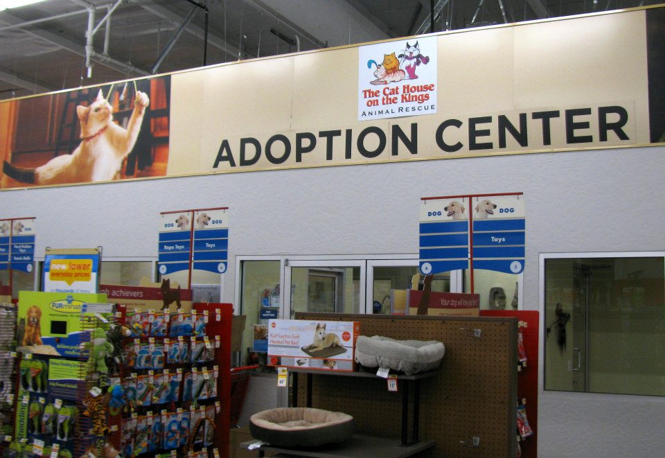petco adoption centers