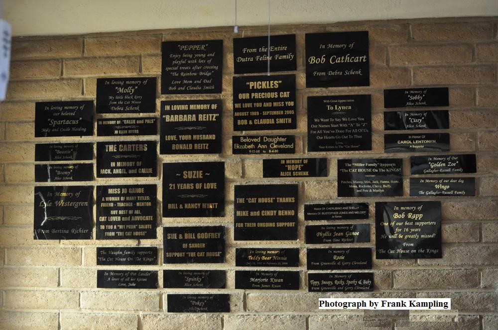 Dedication Wall - Click to enlarge