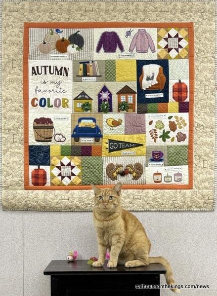 Falling for Autumn – A Quilted Wall Hanging - Click to enlarge